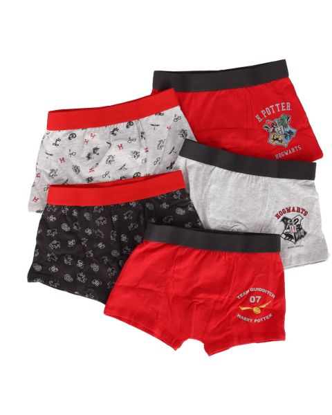 WARNER - Lot De 5 Boxers Harry Potter - Garçon